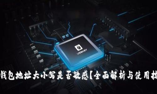 TP钱包地址大小写是否敏感？全面解析与使用技巧